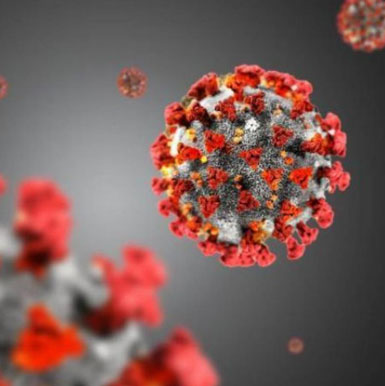 Installazioni e assistenza di sollevatori per disabili in sicurezza